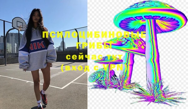 гидра Алексеевка