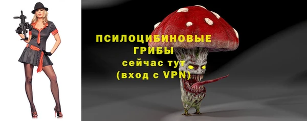 прущие крисы Алексин
