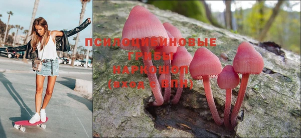 прущие крисы Алексин