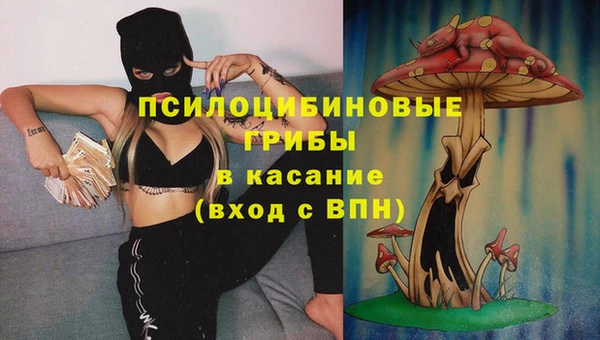 гидра Алексеевка