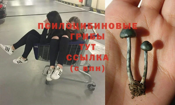 дмт Алзамай
