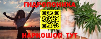 молекула духа Заволжье