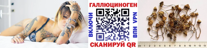 Псилоцибиновые грибы Cubensis  shop официальный сайт  Кудрово 