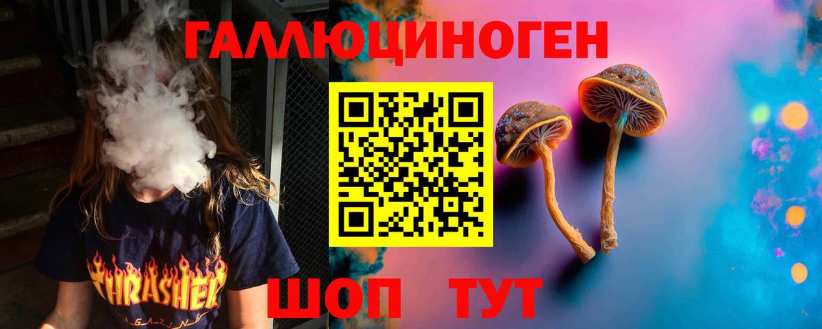 Кудрово  Псилоцибиновые грибы GOLDEN TEACHER  Вход с VPN  Псилоцибиновые грибы ЛСД 