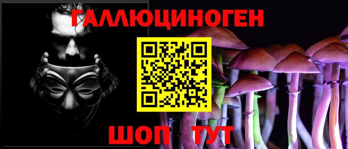 Галлюциногенные грибы Cubensis Кудрово
