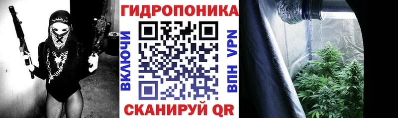 Марихуана марихуана  как найти   Кудрово 